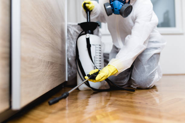 Best Mosquito Control Services  in Flora, AL