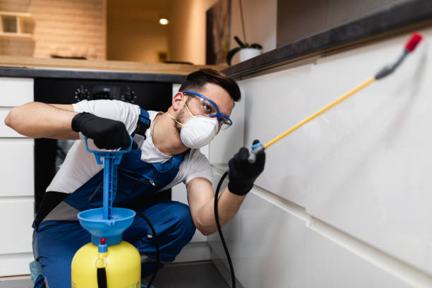 Wasp Removal Services in Florala, AL