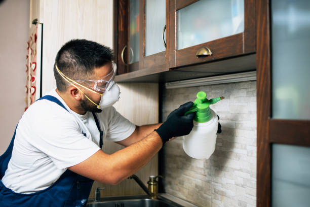 Best Mosquito Control Services  in Flora, AL