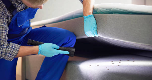 Best Affordable Exterminators  in Flora, AL