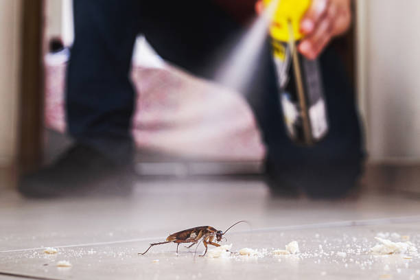 Best Commercial Pest Control Services  in Flora, AL