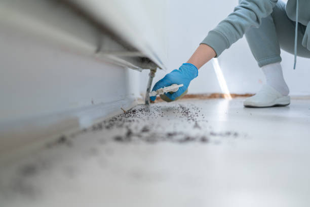 Best Best Pest Control Companies  in Flora, AL